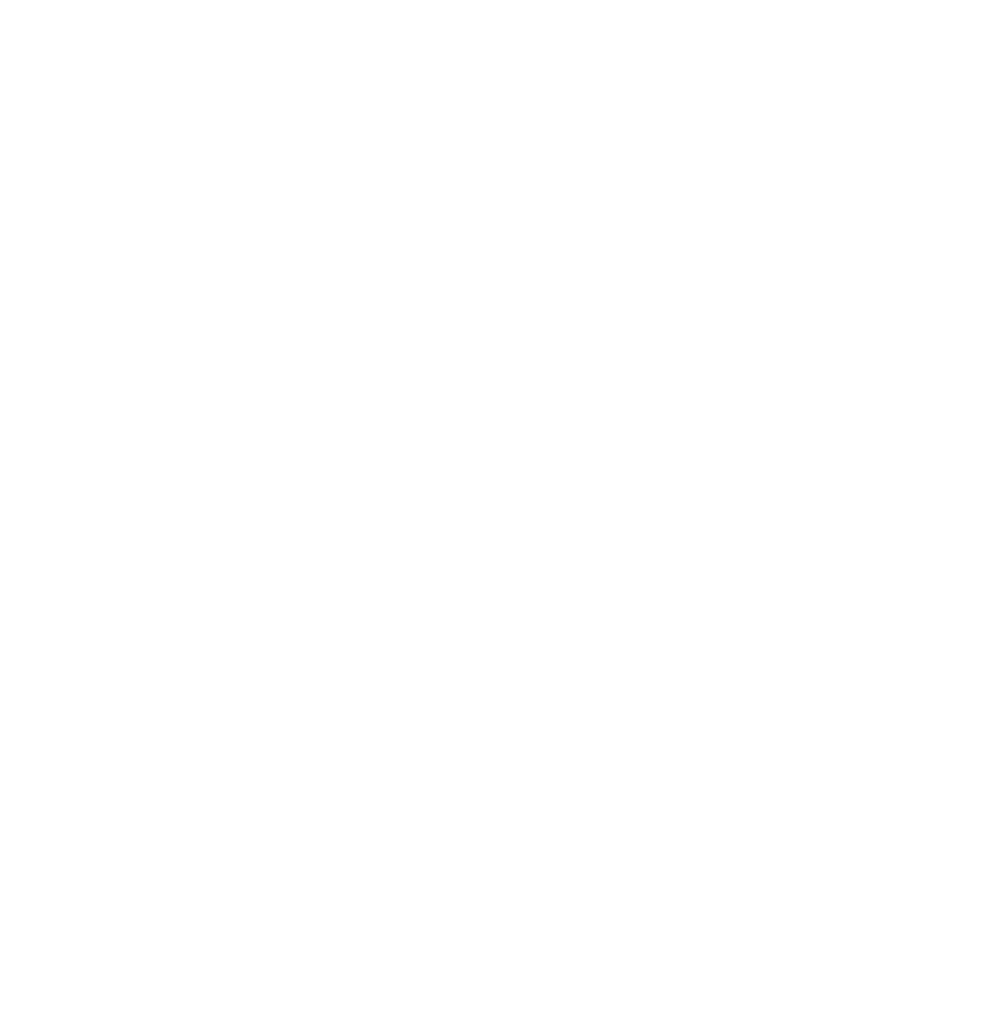 CHILIVIN LOGO BINW